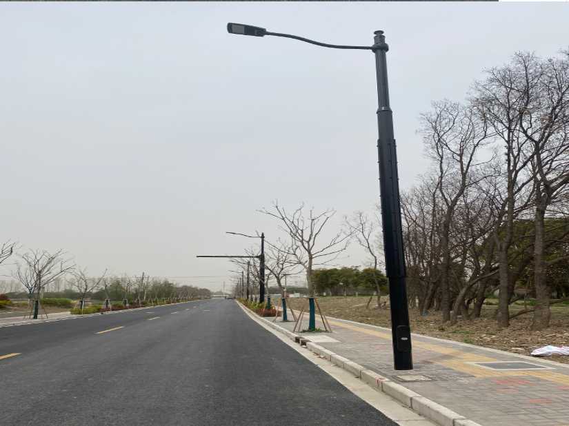 德州市上海综合杆 太阳能路灯工程